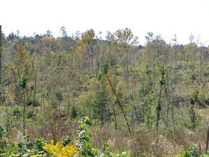 Farm and Ranch in Lowndes County, Alabama