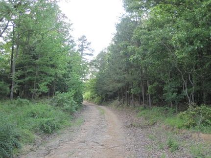 Land in Marshall County, Mississippi