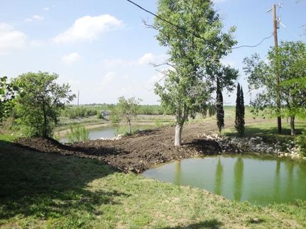 Farm and Ranch in Williamson County, Texas