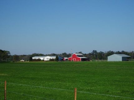 House in Dallas County, Alabama