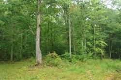 Farm and Ranch in Wayne County, Tennessee