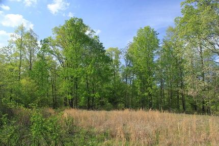 Land in Perry County, Tennessee