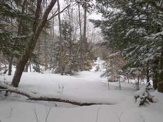 Farm and Ranch in Oswego County, New York