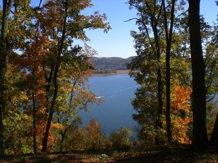 Timberland Property in Hawkins County, Tennessee