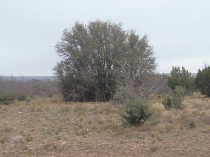 Farm and Ranch in Concho County, Texas