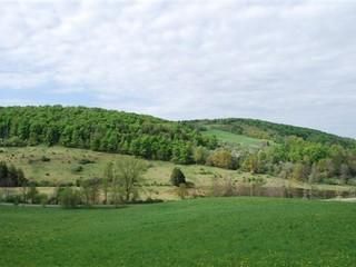 Recreational Property in Madison County, New York