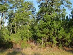Farm and Ranch in Montgomery County, Texas