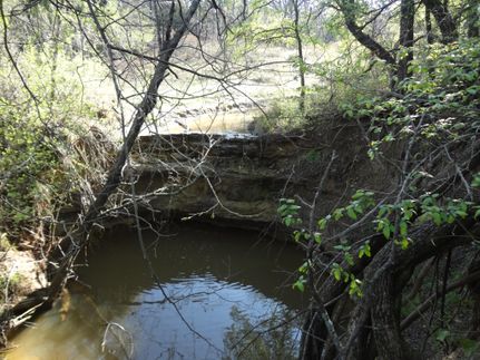 Farm and Ranch in Wise County, Texas
