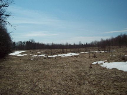 Farm and Ranch in Lewis County, New York