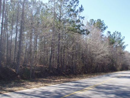 Farm and Ranch in Pike County, Alabama