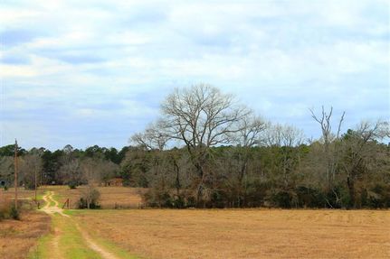 Farm and Ranch in Houston County, Texas