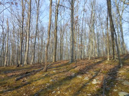 Lakefront Property in Hampshire County, West Virginia