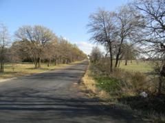 Farm and Ranch in Callahan County, Texas