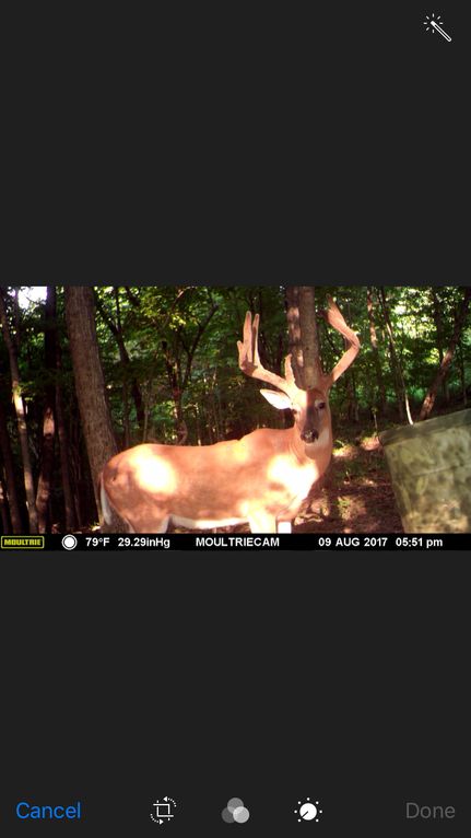 Undeveloped Land in Warren County, Kentucky