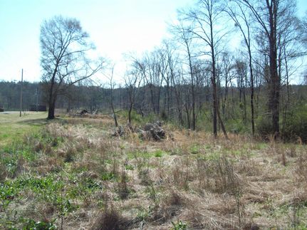Land in Walker County, Alabama