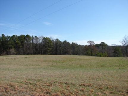 Lakefront Property in Weakley County, Tennessee