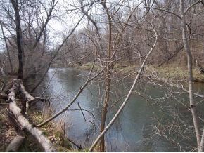 Timberland Property in Newton County, Missouri