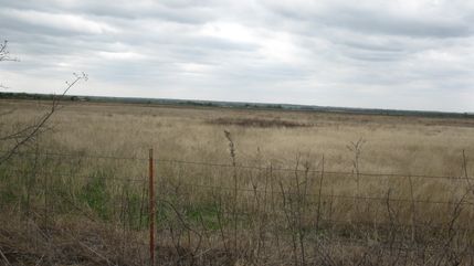 Farm and Ranch in Milam County, Texas