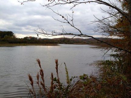 Timberland Property in Shelby County, Alabama