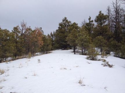 Farm and Ranch in Lewis and Clark County, Montana