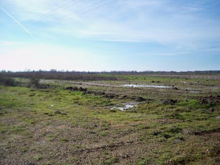 Farm and Ranch in Humphreys County, Mississippi