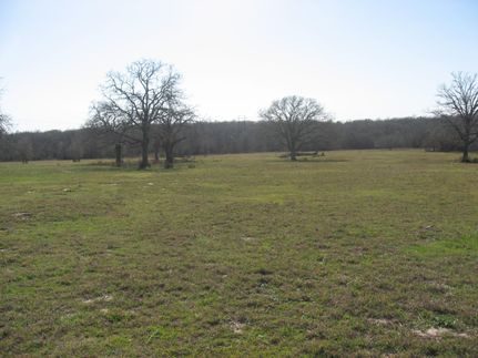 Farm and Ranch in Caldwell County, Texas