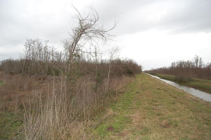 Farm and Ranch in Matagorda County, Texas