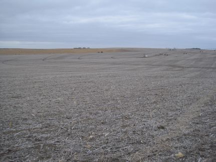 Land in Buffalo County, Nebraska