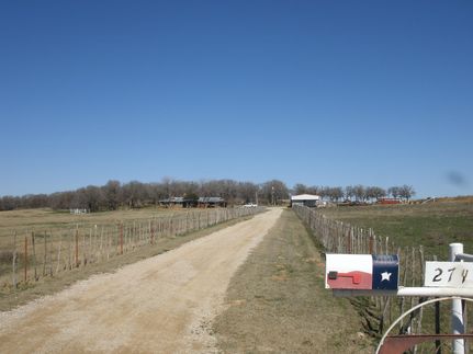 Timberland Property in Montague County, Texas