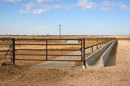 Farm and Ranch in Castro County, Texas
