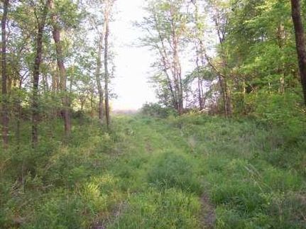 Farm and Ranch in Clinton County, Missouri
