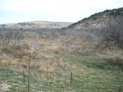 Farm and Ranch in Coke County, Texas