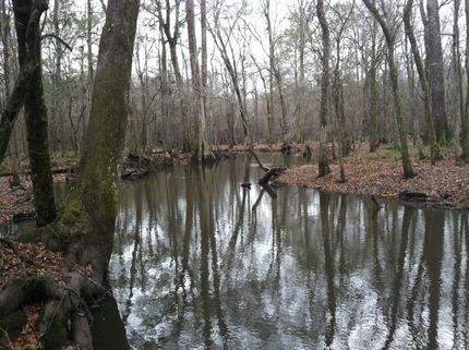 Farm and Ranch in Johnson County, Georgia