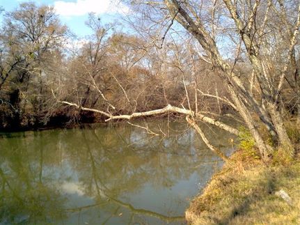 Farm and Ranch in Greenville County, South Carolina