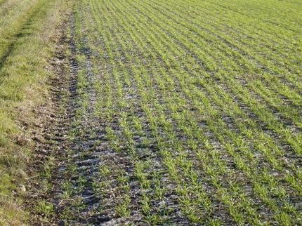 Farm and Ranch in Grant County, Kansas