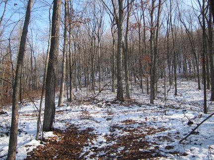 Farm and Ranch in Adams County, Ohio