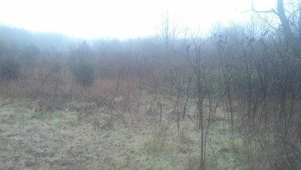 Farm and Ranch in Howell County, Missouri