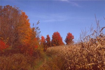 Commercial Property in Genesee County, Michigan