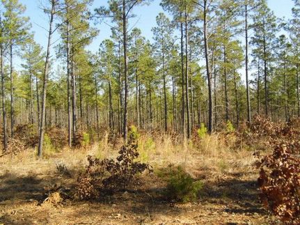 Farm and Ranch in Buckingham County, Virginia