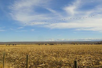 House in Fremont County, Wyoming