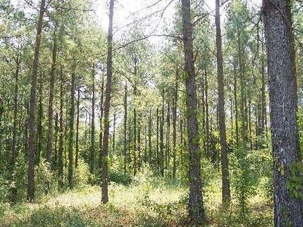 Land in Calhoun County, Georgia