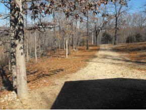 Farm and Ranch in McDonald County, Missouri