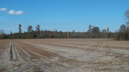Farm and Ranch in Florence County, South Carolina