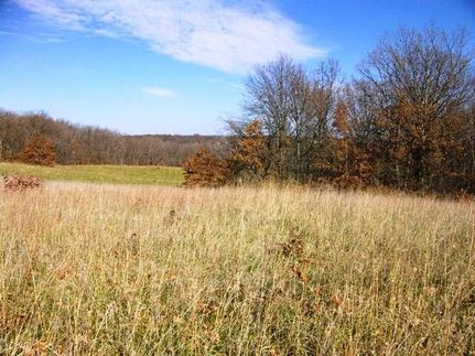 Land in Pike County, Missouri