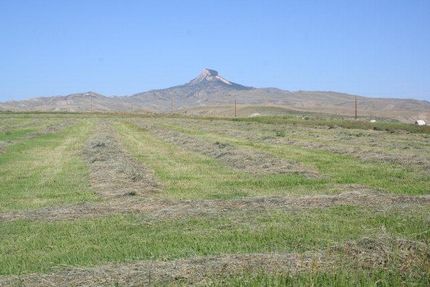 Farm and Ranch in Park County, Wyoming