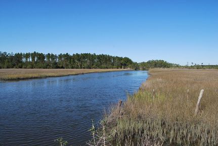 Farm and Ranch in Glynn County, Georgia