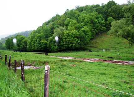 Land in Highland County, Virginia
