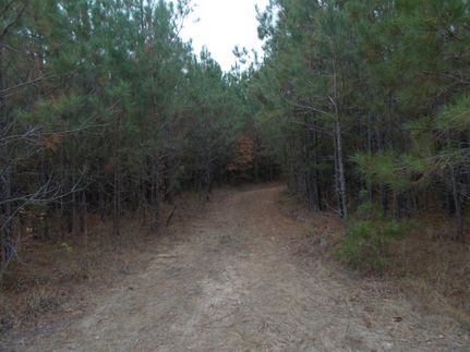 Farm and Ranch in Chilton County, Alabama