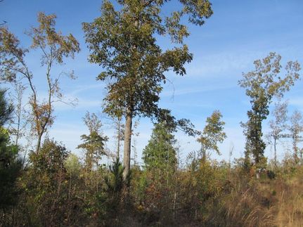 Farm and Ranch in Chilton County, Alabama