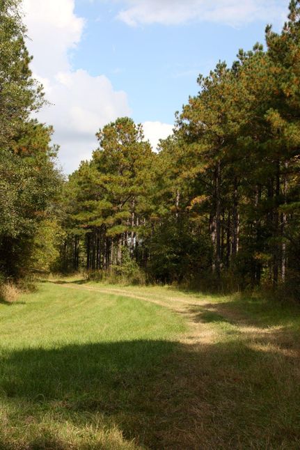 Land in Perry County, Alabama